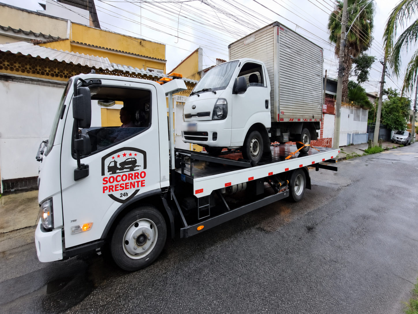 Guincho Socorro Presente em rua molhada